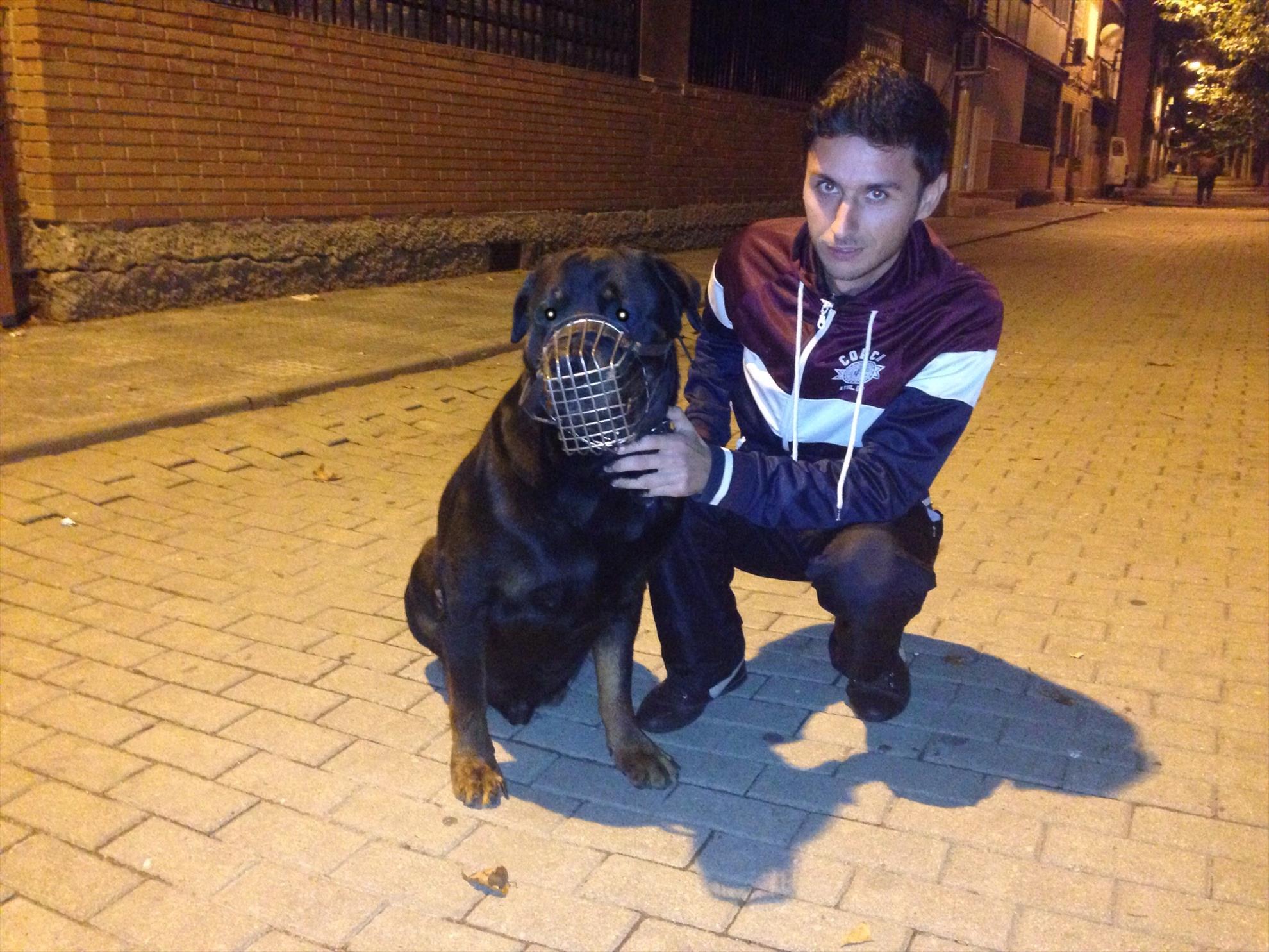 2013 - Spania  - image11.jpg